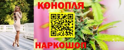 индика Краснодар
